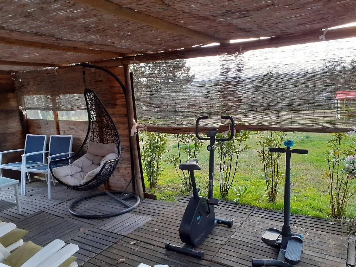 Farm stay Il Lavandeto - Farmhouse In The City Siena Italy